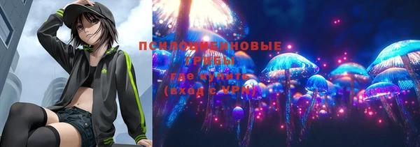 a pvp Алзамай