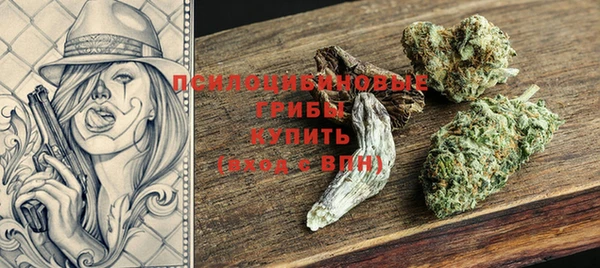 a pvp Алзамай