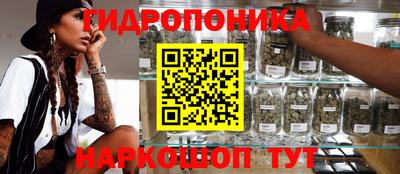 тгк Волгодонск