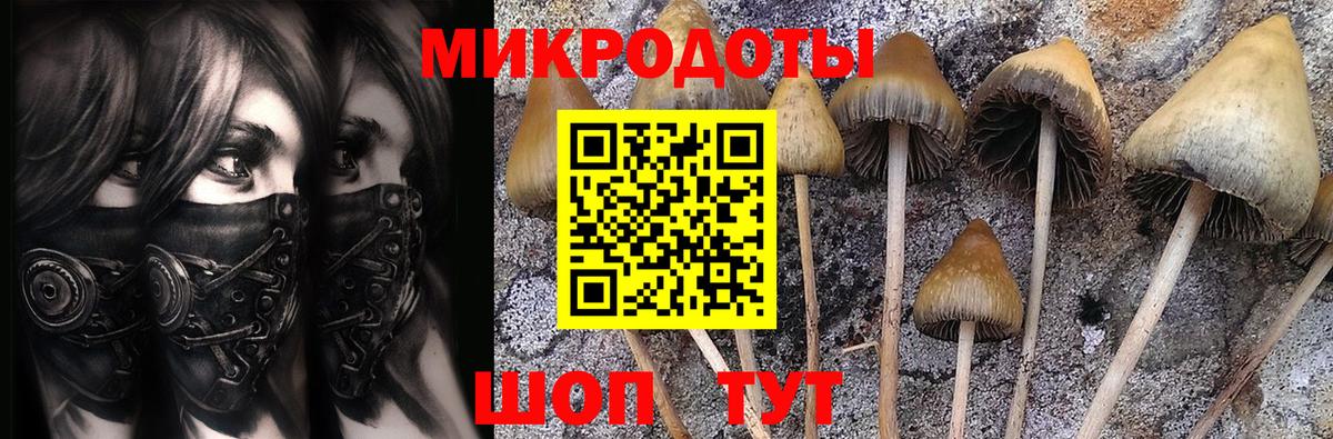 Топки  Псилоцибиновые грибы Magic Shrooms  как найти закладки  Вход с VPN 